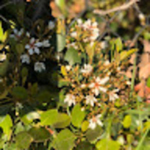 Meet your Posher, Sarahi